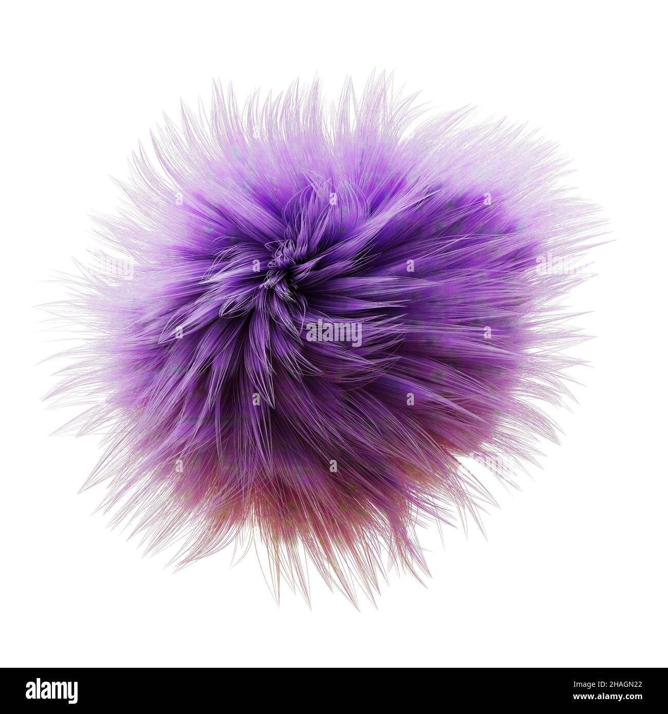 palla soffice, sfera viola furry isolato su sfondo bianco Foto Stock
