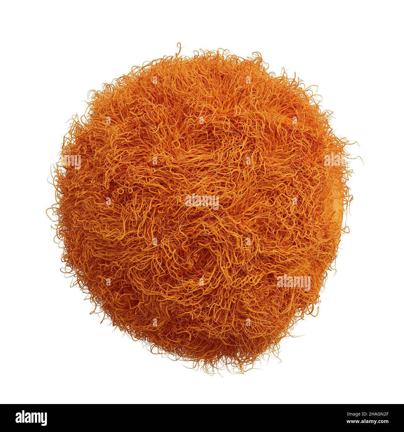 palla soffice, sfera arancione furry isolato su sfondo bianco Foto Stock