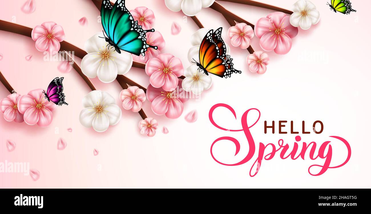 Primavera ciliegio fiore vettore sfondo design. Ciao primavera saluto testo con rosa sakura albero e farfalle elementi per la festa della stagione di fioritura. Illustrazione Vettoriale