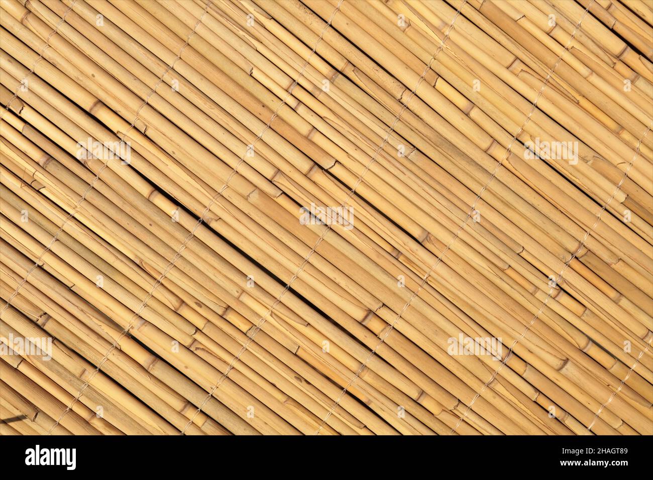 Dettaglio parete in paglia. Decorazioni a parete in giallo Reed. Sottili bambù disposti diagonalmente. Foto Stock
