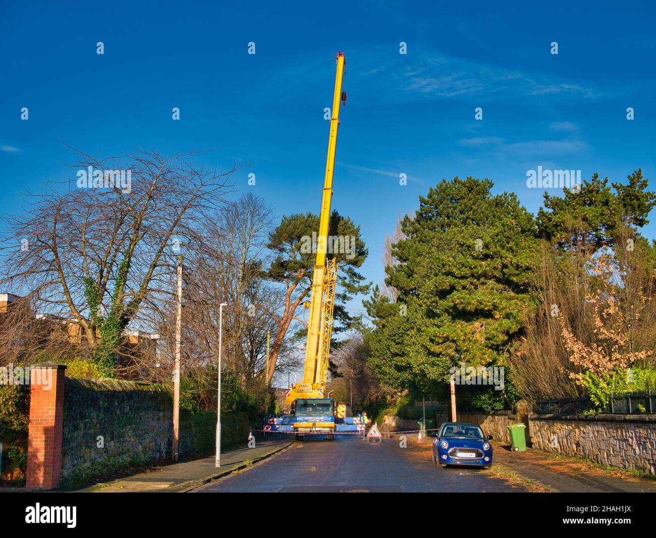 In seguito alla tempesta Arwen Danny Lawlor Crane Hire e Mancoed Tree Management rimuovere un pino scozzese danneggiato sollevando sezioni dell'albero ad avo Foto Stock