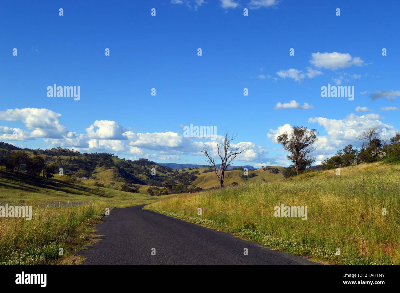 Una vista lungo Coxs River Road vicino Hartley, NSW, Australia Foto Stock