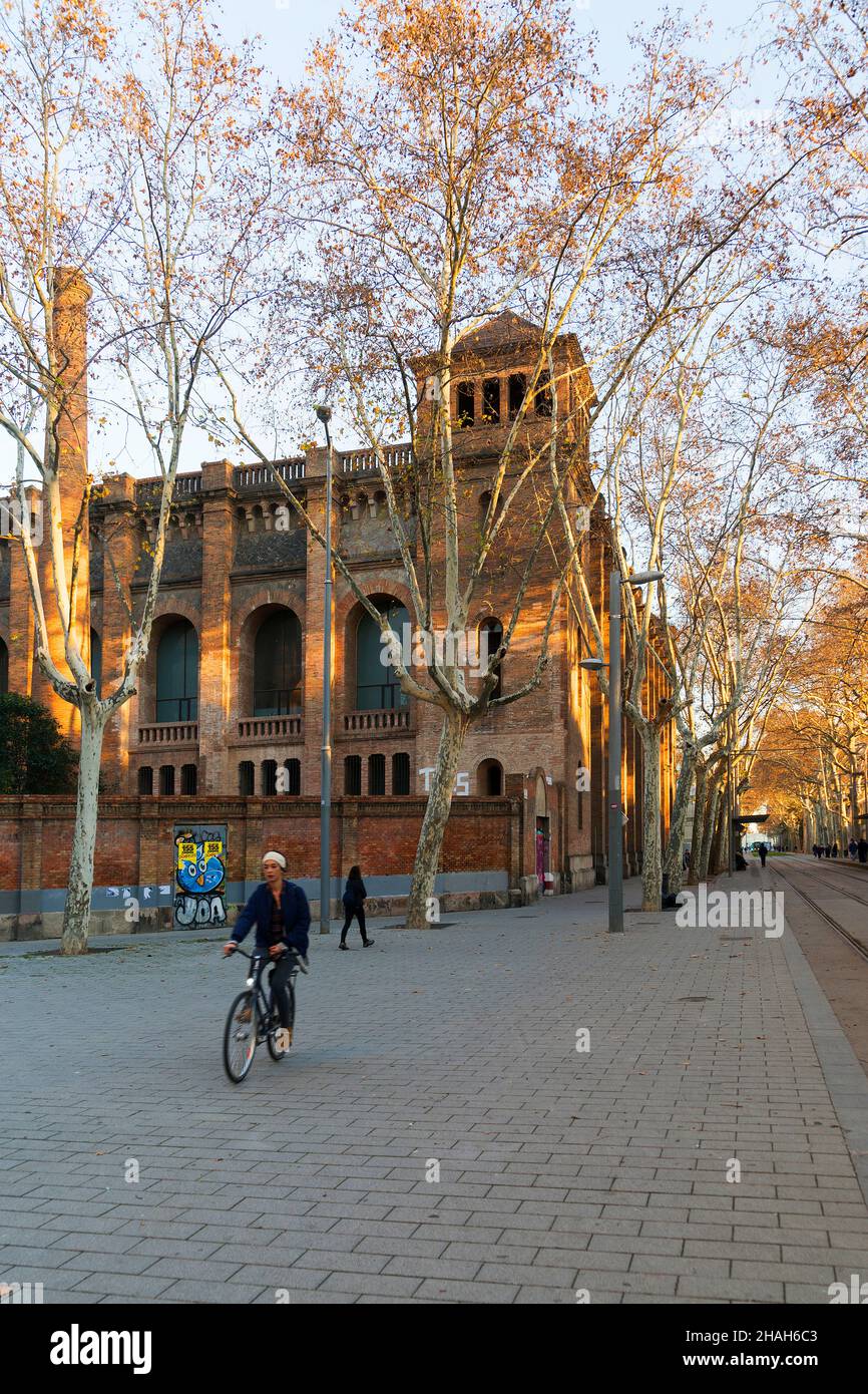 Citadel Park, Barcellona, Spagna, Europa Foto Stock