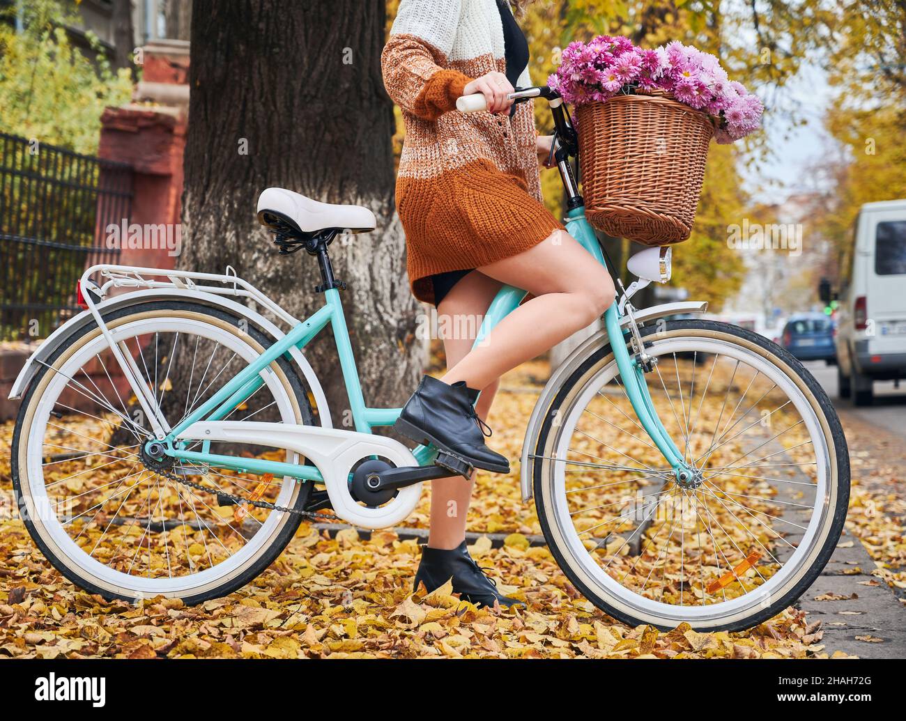 Biciclista femminile in cardigan maglia con bouquet di fiori in cesto.  Giovane donna elegante con bicicletta in piedi sulla strada con foglie  d'autunno gialle Foto stock - Alamy
