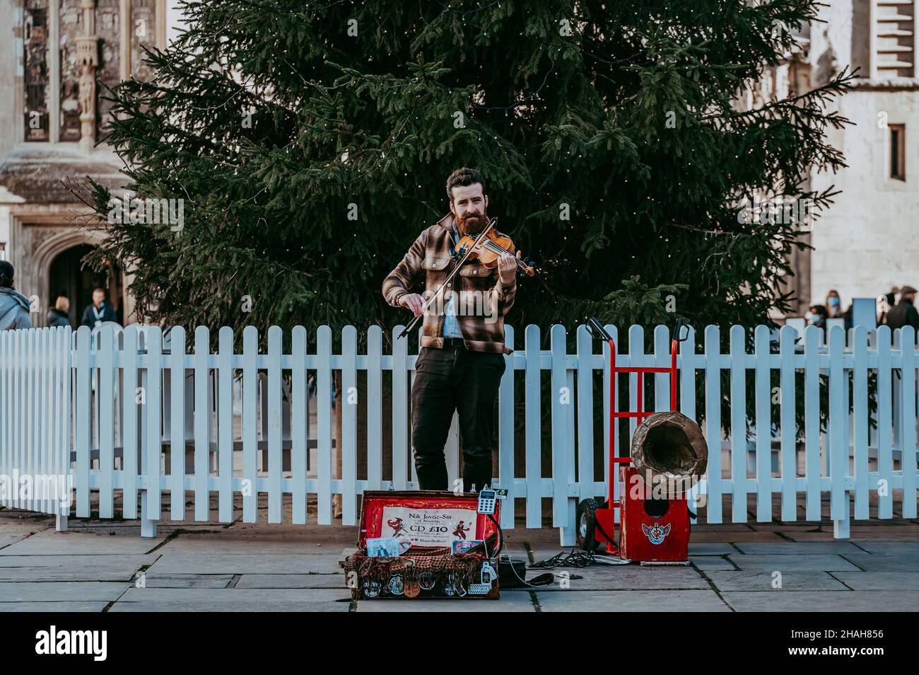 Toccare violinista di danza Foto Stock