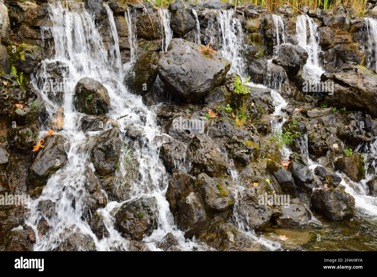 Flussi di acqua fluiscono in flussi su pietre bagnate. Lo sfondo per l'intero fotogramma. Foto Stock