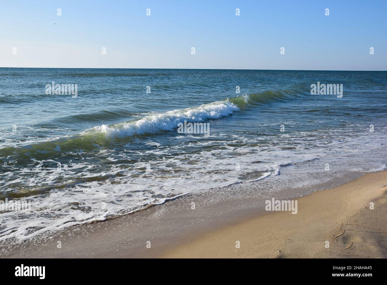 Il surf sul mare scorre sulla spiaggia sabbiosa in piccole onde schiumose. Il cielo è limpido, senza nuvole Foto Stock