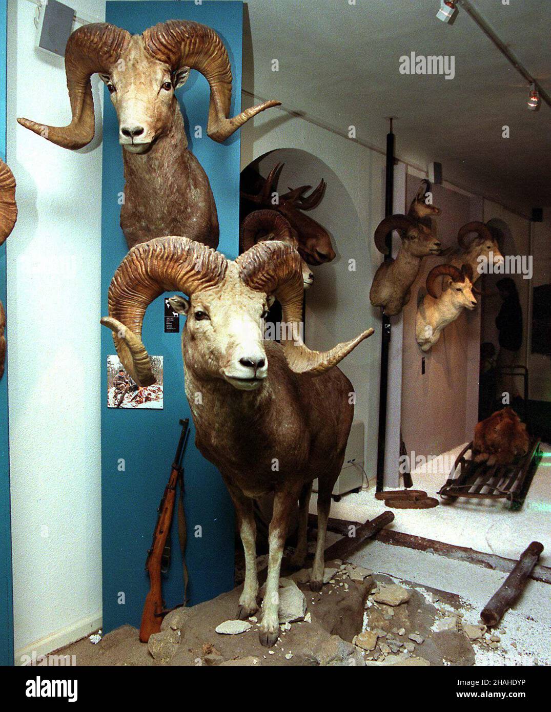 Warszawa, 30.05.2001. W muzeum €owiectwa i JeŸdziectwa pokazano wystawê 'W drewnie, kamieniu, br¹zie... RzeŸba animalistyczna XIX i XX wieku w zbiorach polskich'. (sig.) PAP/Piotr Rybarczyk Varsavia, 30.05.2001. Mostra "made in wood, stone, bronze...scultura animalistica del 19th e 20th secolo nella collezione polacca" presentata al Museo della Caccia e dell'Equitazione di Varsavia. (sig.) PAP/Piotr Rybarczyk Foto Stock