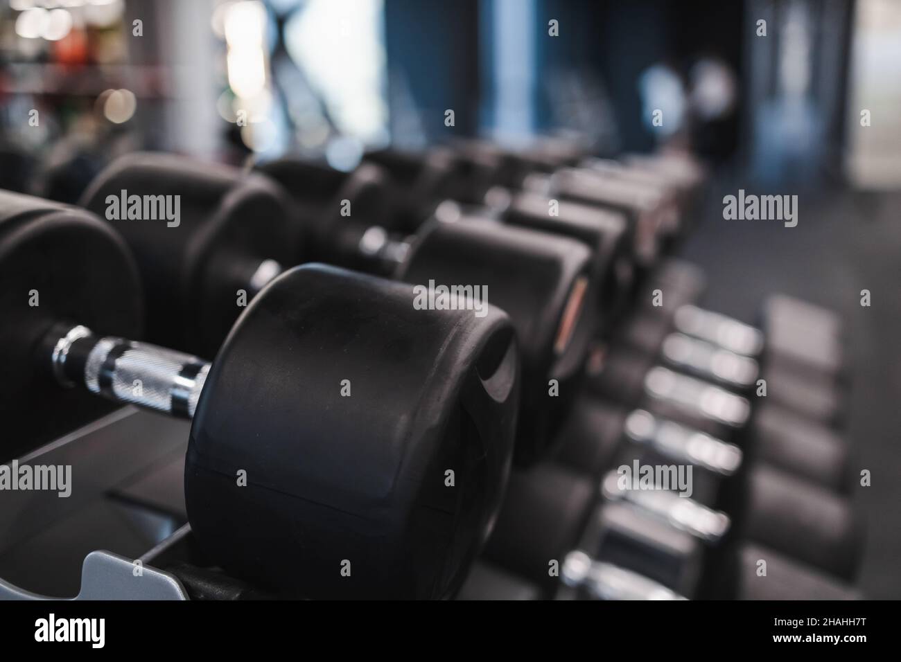File di manubri in rack in palestra Foto Stock