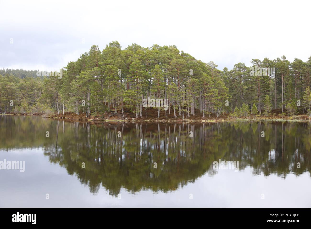 Loch An Eilein, Rothiemurchus, Aviemore, Scozia Foto Stock