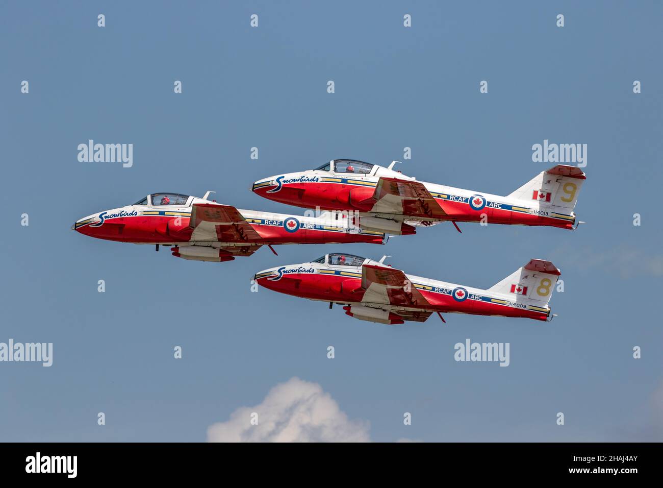 Il Royal Canadian Air Force's (RCAF) 431 Air Demonstration Squadron, The Snowbirds, si esibisce all'Airshow London SkyDrive di Londra, Ontario, Canada. Foto Stock