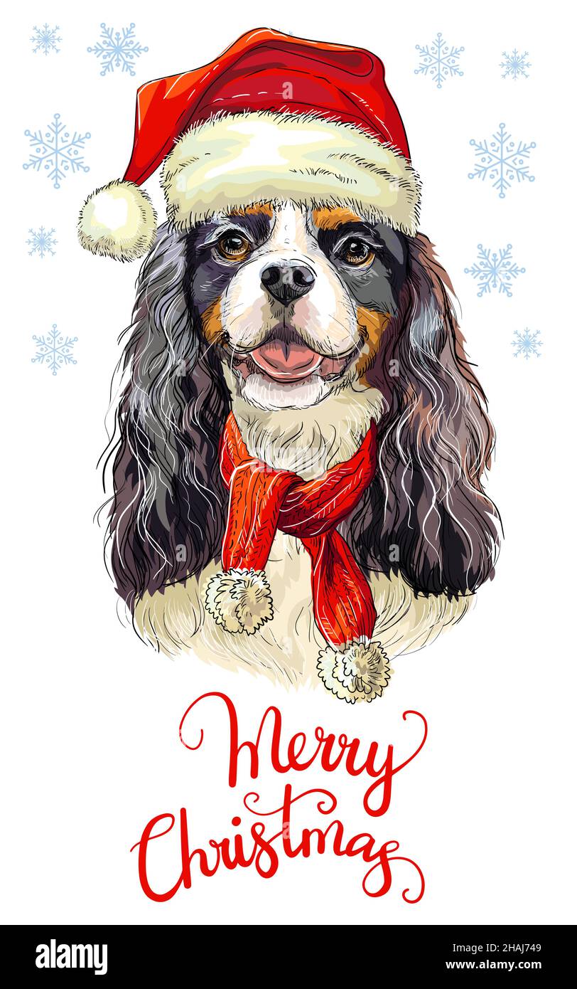Cartolina di Natale cane Cocker Spaniel A6 (4x6) - Vuota