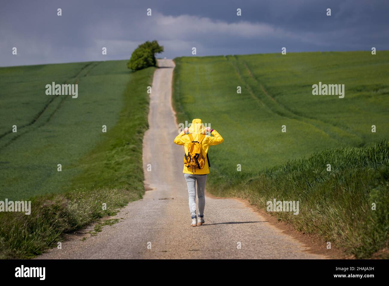 Lone donna che cammina su strada vuota. Esplorazione, avventura e concetto di viaggio. Turista femminile indossando abiti impermeabili durante l'escursione primaverile Foto Stock