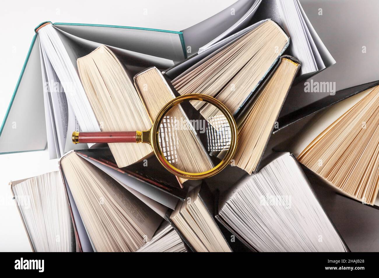 Lente di ingrandimento su libri diversi. Concetto di conoscenza, ricerca e studio. Foto Stock