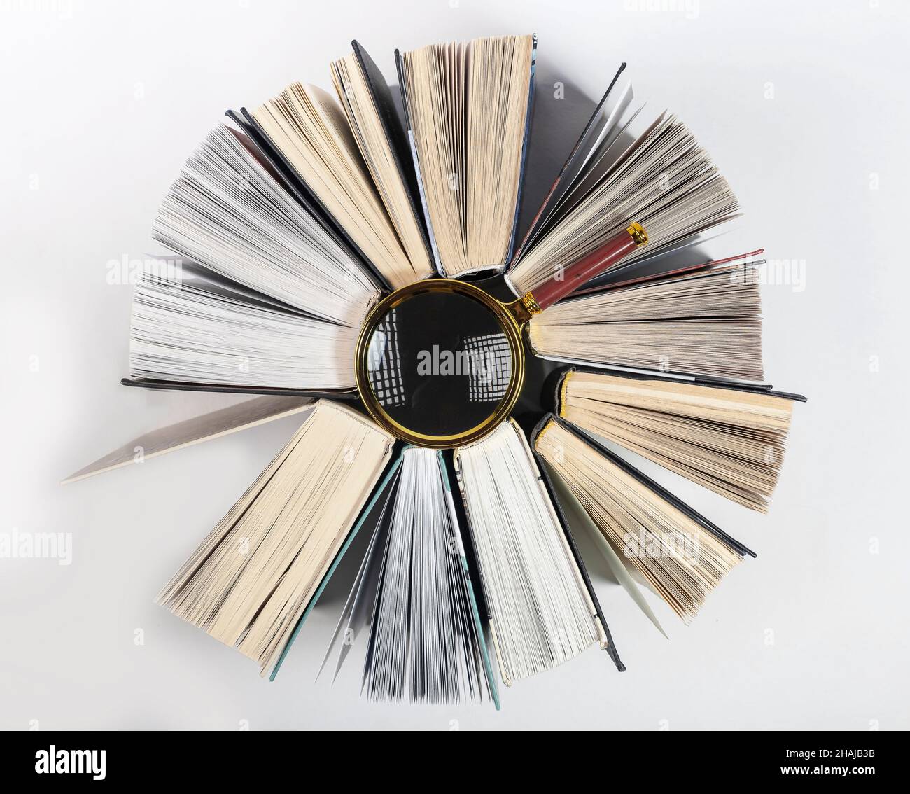 Lente di ingrandimento tra i libri intorno. Concetto di conoscenza, ricerca e studio. Lente di ingrandimento nel cerchio del libro di testo. Foto Stock