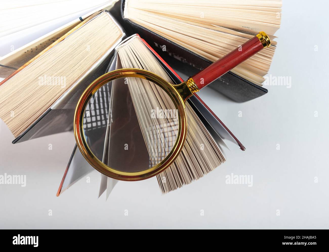 Lente di ingrandimento sopra il libro di carta aperto. Concetto di conoscenza, ricerca e studio. Foto Stock