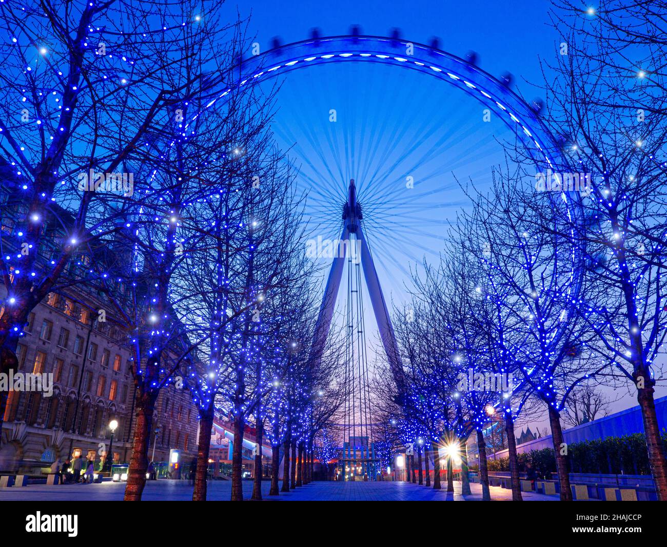 London Eye con le luci degli alberi blu scintillanti natalizie al tramonto South Bank London, Inghilterra UK Foto Stock