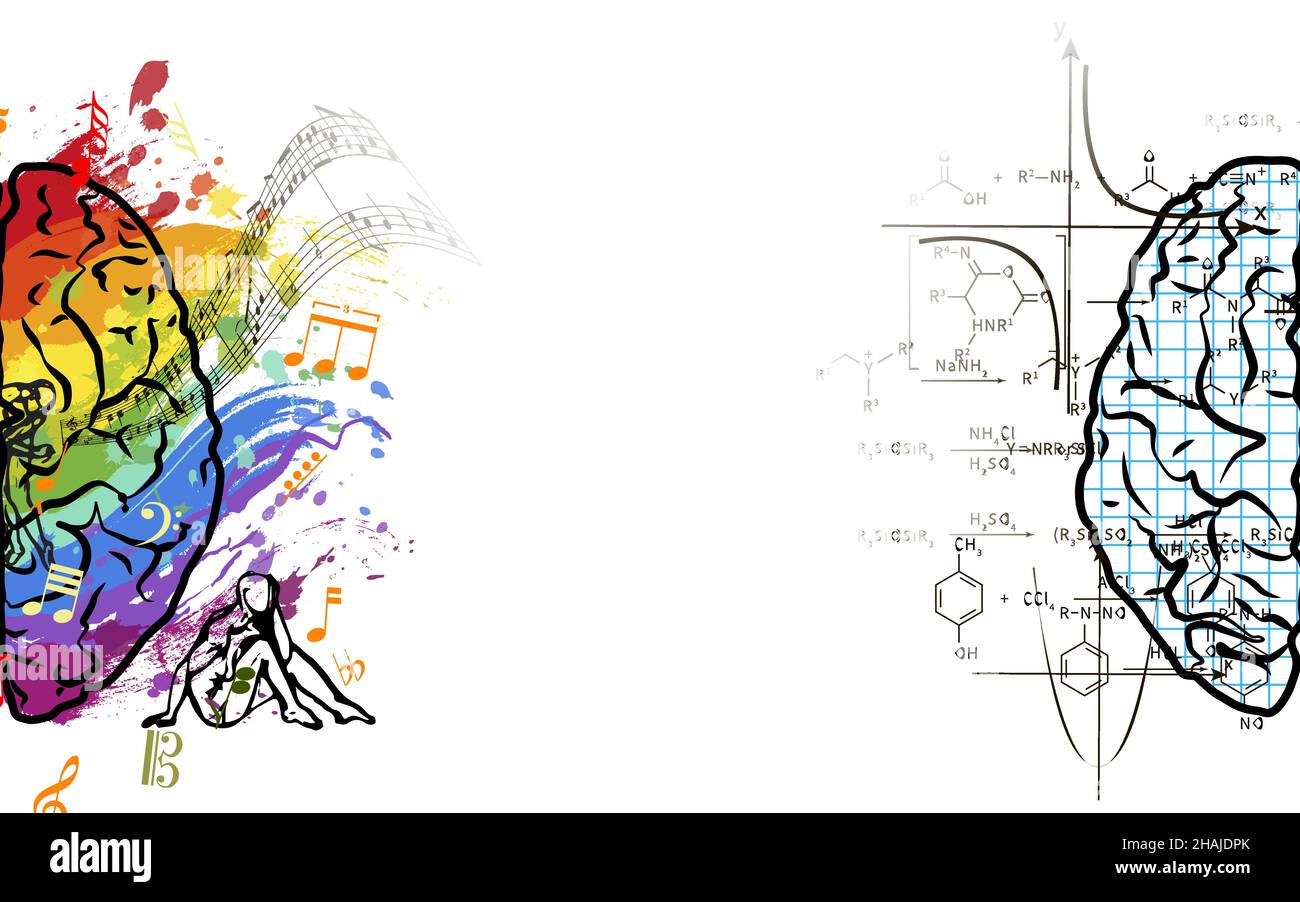 Lati creativi e tecnici del cervello umano ampia illustrazione di concetto, lati sinistro e destro del cervello funzioni concetto su bianco Illustrazione Vettoriale