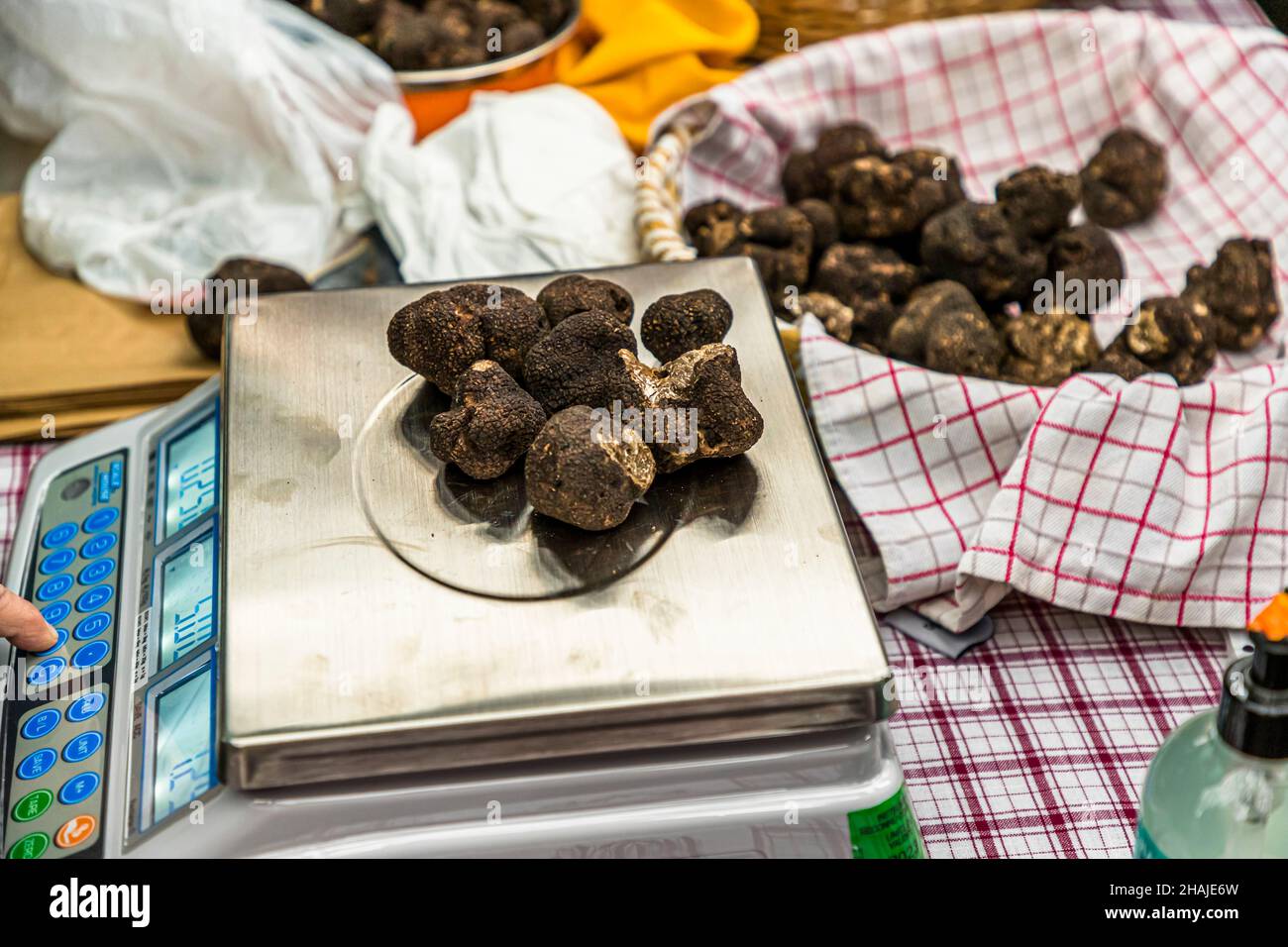 Tartufi neri giacciono su una bilancia digitale per la pesatura, accanto a un cesto foderato con stoffa a quadri e pieno di tartufi, al mercato dei tartufi di Aups, dipartimento di Var, Francia. Foto Stock