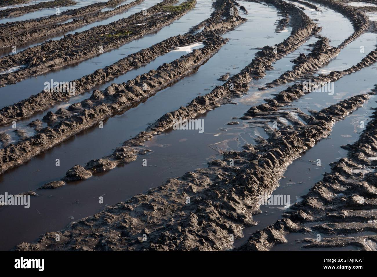 Cingoli pneumatici di macchinari agricoli pesanti riempiti di pozzanghere congelate su un campo fangoso Foto Stock
