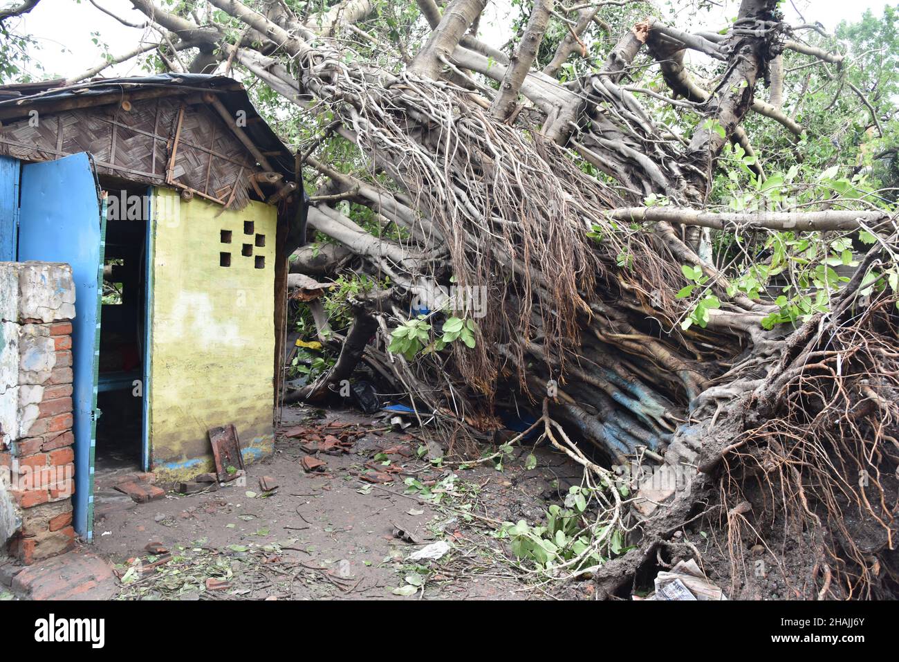 Tempesta super ciclonica Amphan era un potente e catastrofico ciclone tropicale che ha causato danni diffusi nell'India orientale, in particolare nel Bengala occidentale e in Odisha. Il ciclone ha ucciso almeno 84 persone in India e Bangladesh. Kolkata, India. Foto Stock