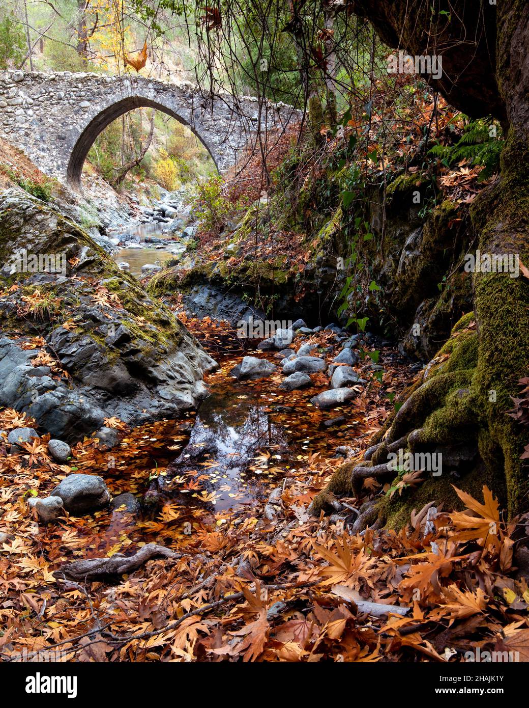 Ponte medievale in pietra con acqua che scorre nel fiume in autunno. Foto Stock