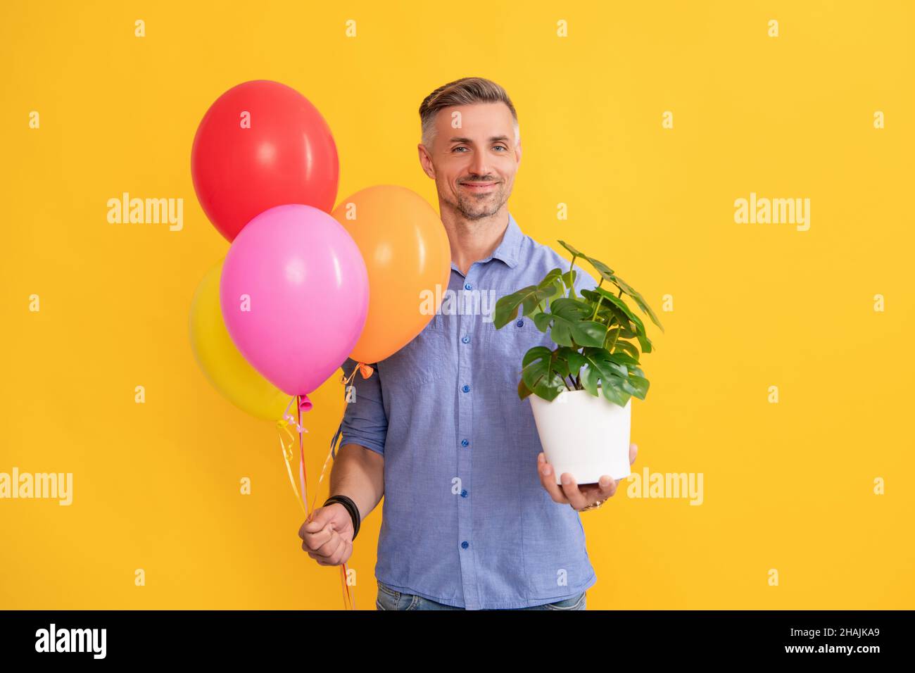sorridente bell'uomo tenere palloncini partito e pianta su sfondo giallo, nuova dimora Foto Stock