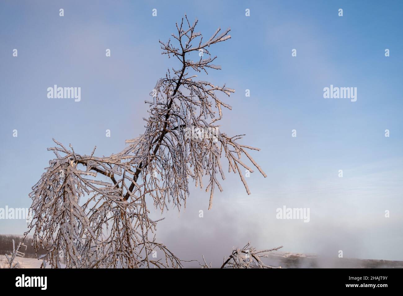 Un pomeriggio nella zona termale di Geysir in inverno con neve e ghiaccio intorno e nebbia di luce dorata Foto Stock