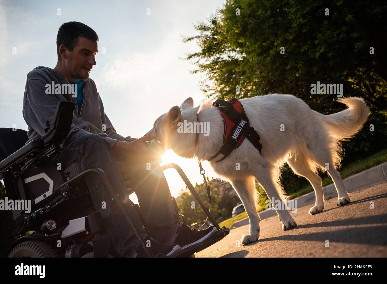 Uomo con disabilità con il suo cane da servizio su sedia a rotelle elettrica. Foto Stock