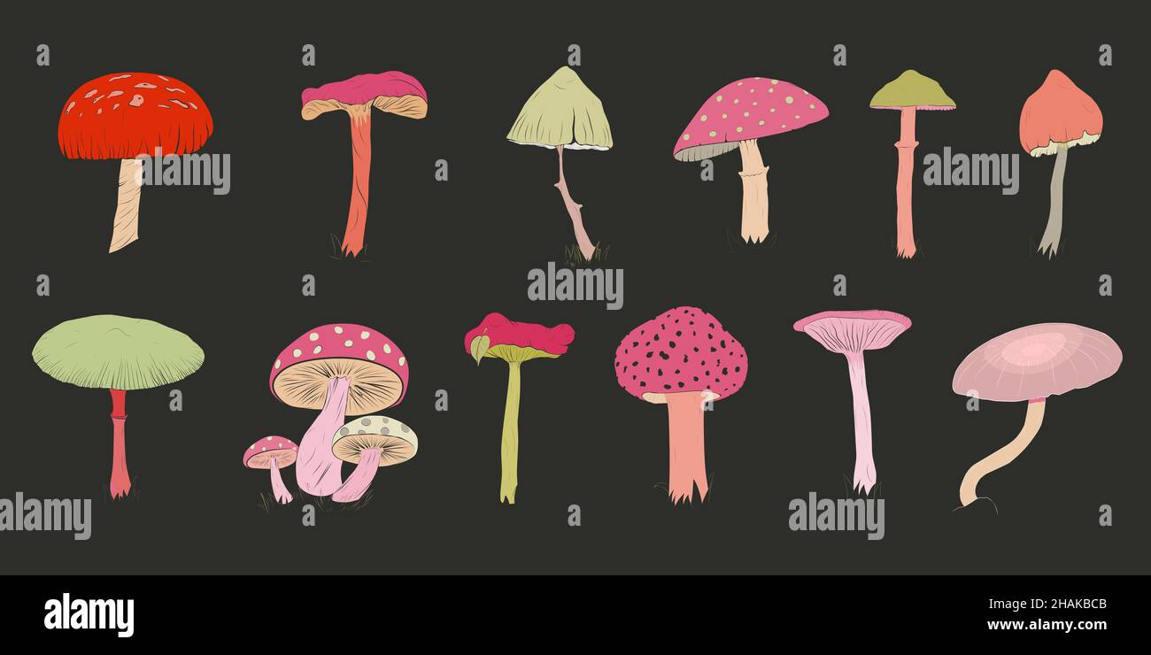 Un set di vari funghi disegnati a mano. Illustrazione Vettoriale