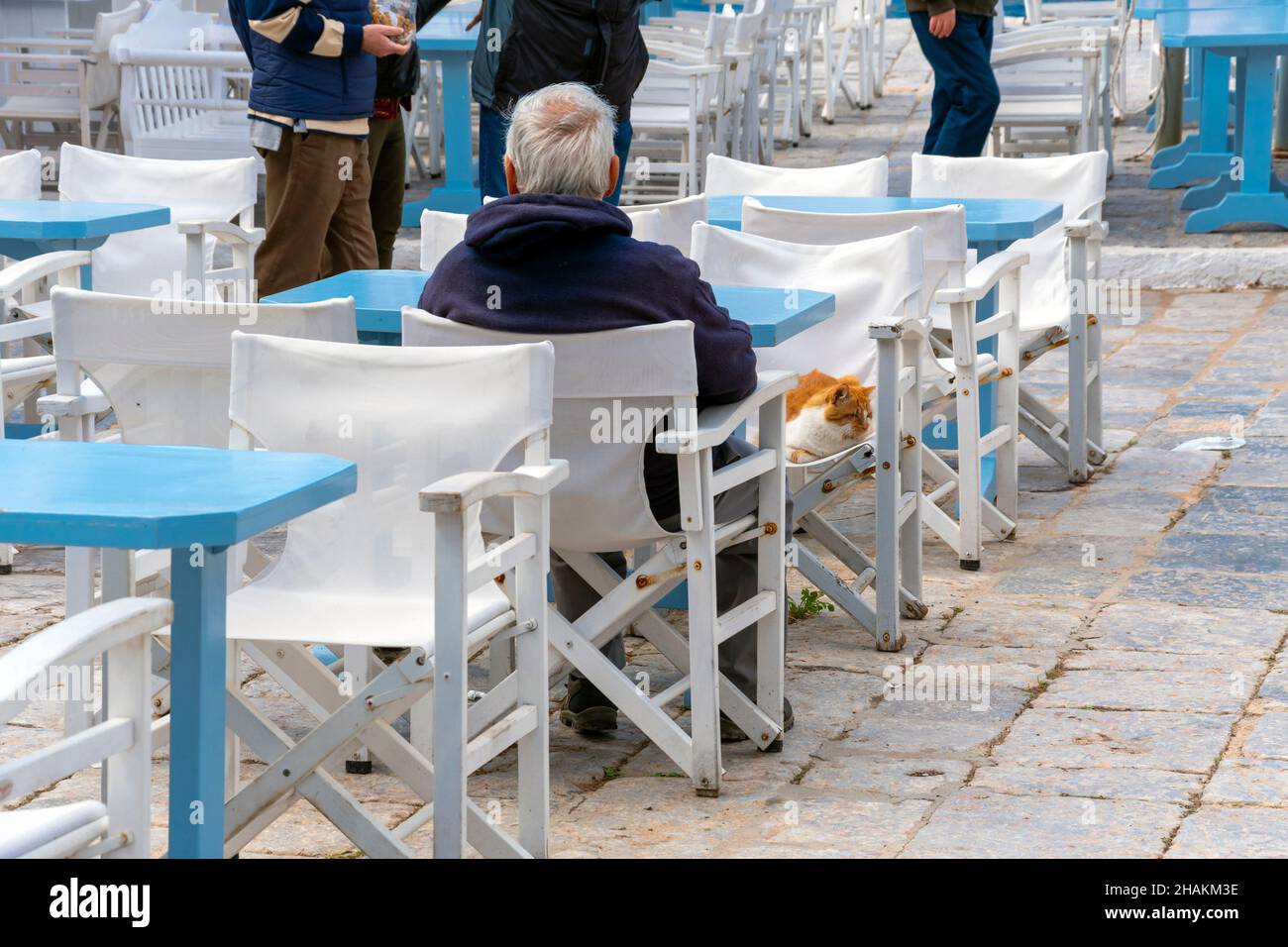 Un vecchio pescatore greco siede ad un tavolo di un caffè all'aperto con un gatto bianco e arancione sull'isola greca di Hydra, Grecia. Foto Stock