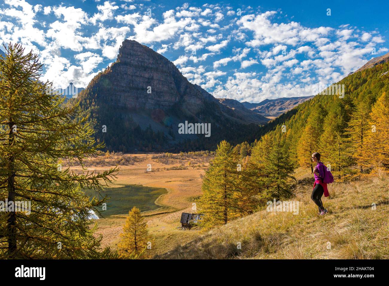 ALPES DE HAUTE-PROVENCE, 04, VALLE DI UBAYE, VILLAGGIO DI LAUZET-SUR-UBAYE, LAUZET LAGO Foto Stock