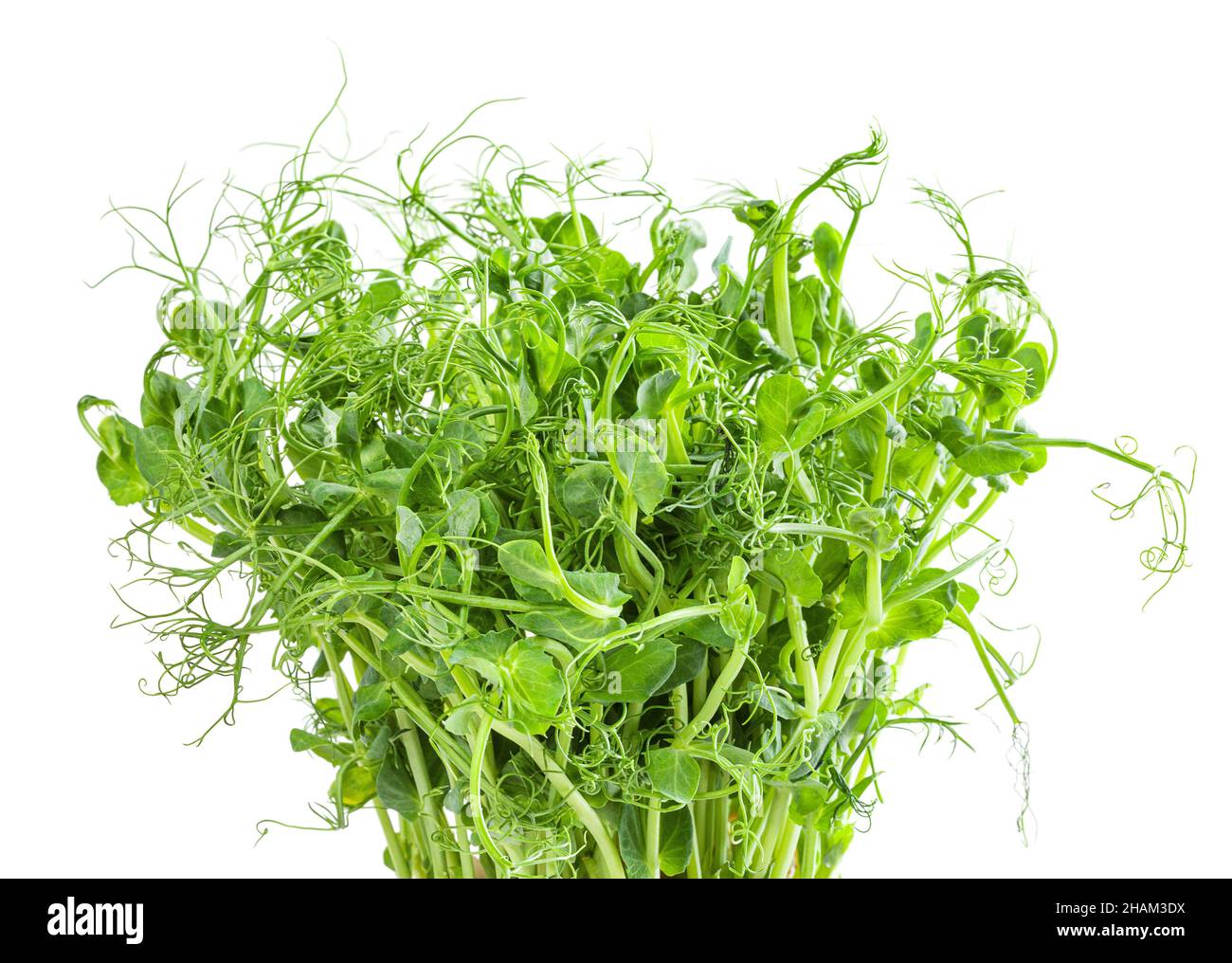 Micrograni freschi di piselli isolati su sfondo bianco Foto Stock