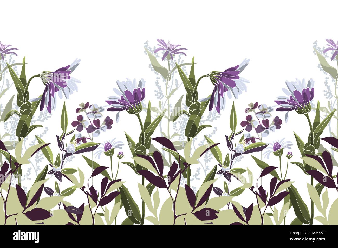 Motivo floreale vettoriale senza cuciture, bordo. Immagine panoramica orizzontale con fiori bianco-viola. Illustrazione Vettoriale