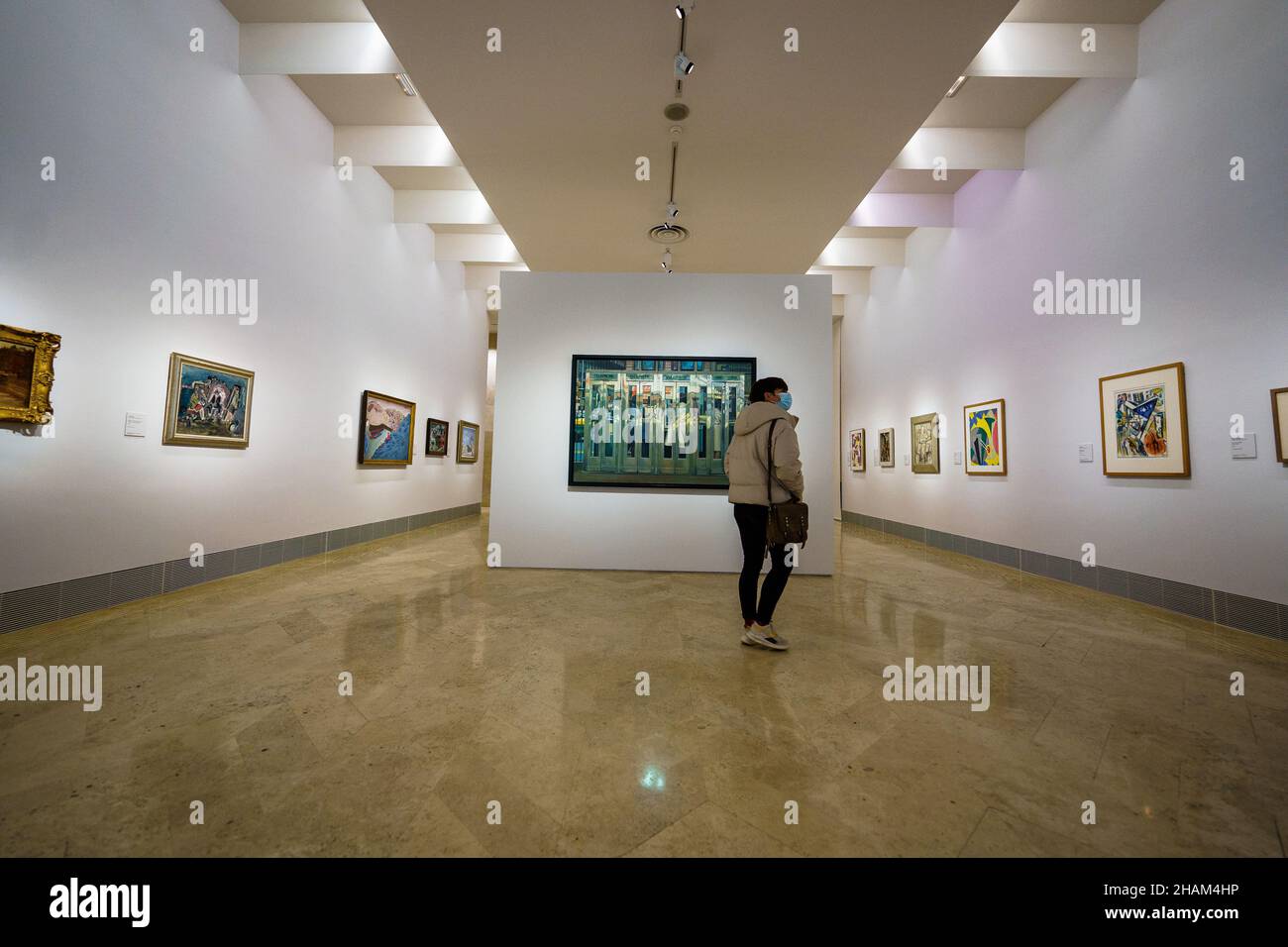 Un visitatore osserva le opere d'arte dell'artista Richard Estes durante la mostra al Museo Nacional Thyssen-Bornemisza di Madrid.il Museo Nacional Thyssen-Bornemisza presenta una mostra che riunisce la magnifica collezione d'arte americana, frutto della sua collezione da oltre tre decenni. Le opere sono fornite sia con le collezioni della famiglia Thyssen che con Carmen Thyssen-Bornemisza e, soprattutto, dal museo stesso, un contesto eccezionale nel contesto europeo che ha reso il Museo Thyssen di Madrid un punto di riferimento essenziale per la conoscenza dell'Americ Foto Stock