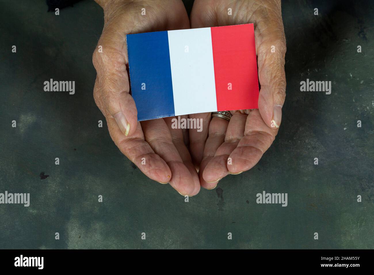 donna con bandiera francese in mano Foto Stock