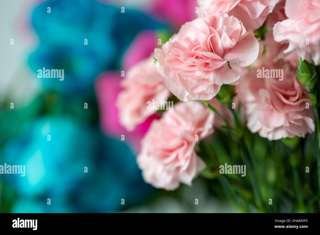 Piccolo bouquet di garofani rosa Foto Stock