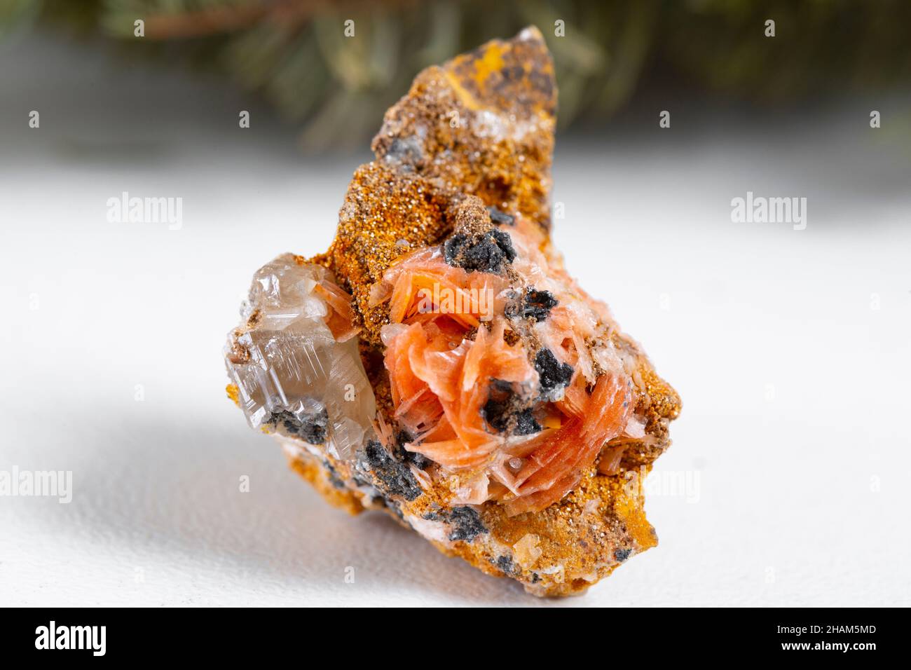 cerrusite minerale esemplare pietra roccia geologia gemma cristallo Foto Stock