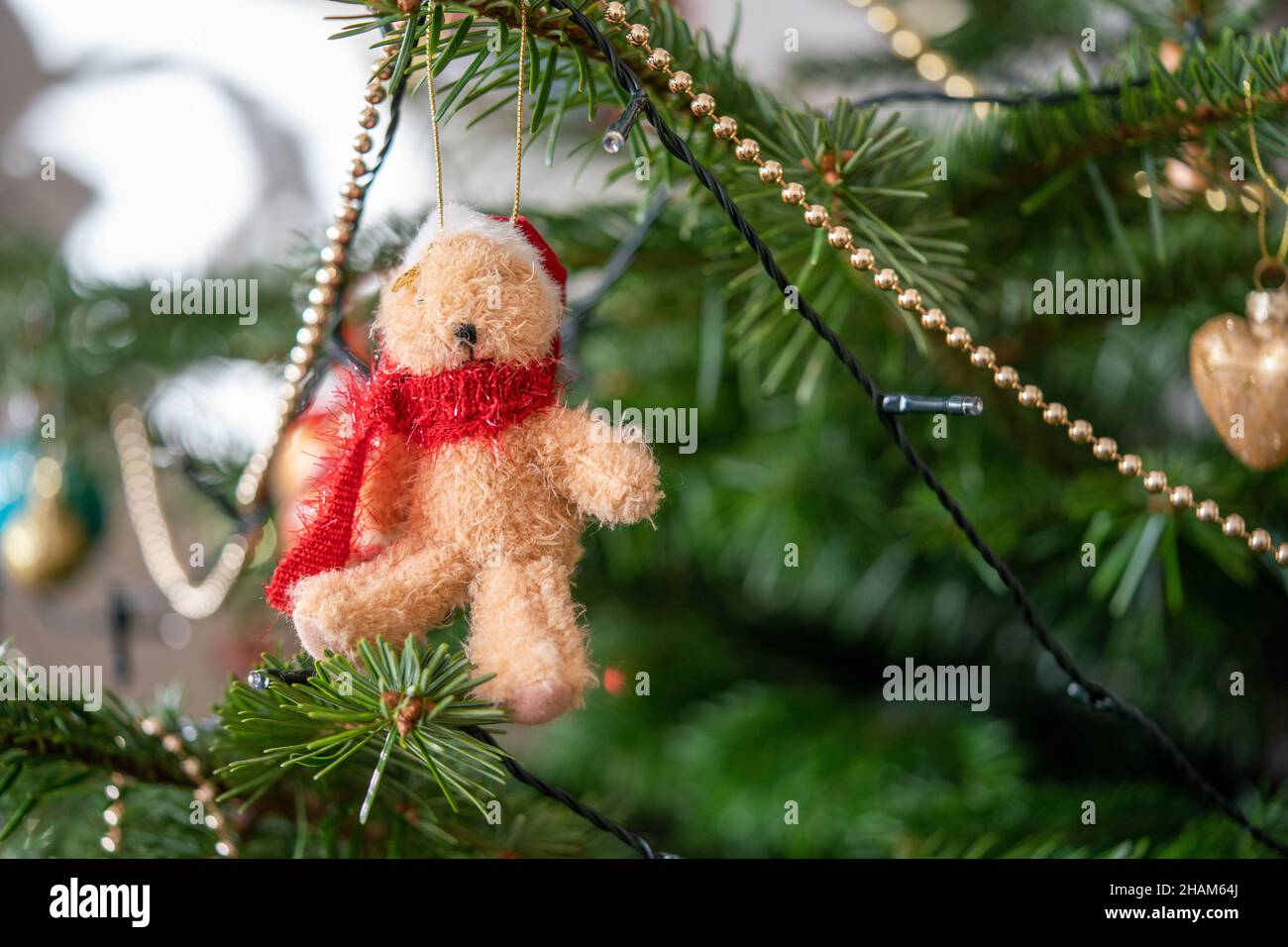 fuoco selettivo di una decorazione appesa dell'orso del santa di natale fuori di un albero di abete rosso della norvegia Foto Stock