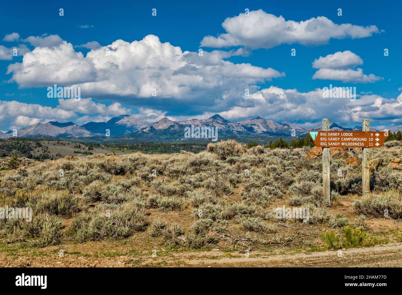 Segnale di direzione, Big Sandy Opening Road (BLMR 4113), at Lander Cutoff Road (CR 132), Wind River Range in Distance, Wyoming, USA Foto Stock