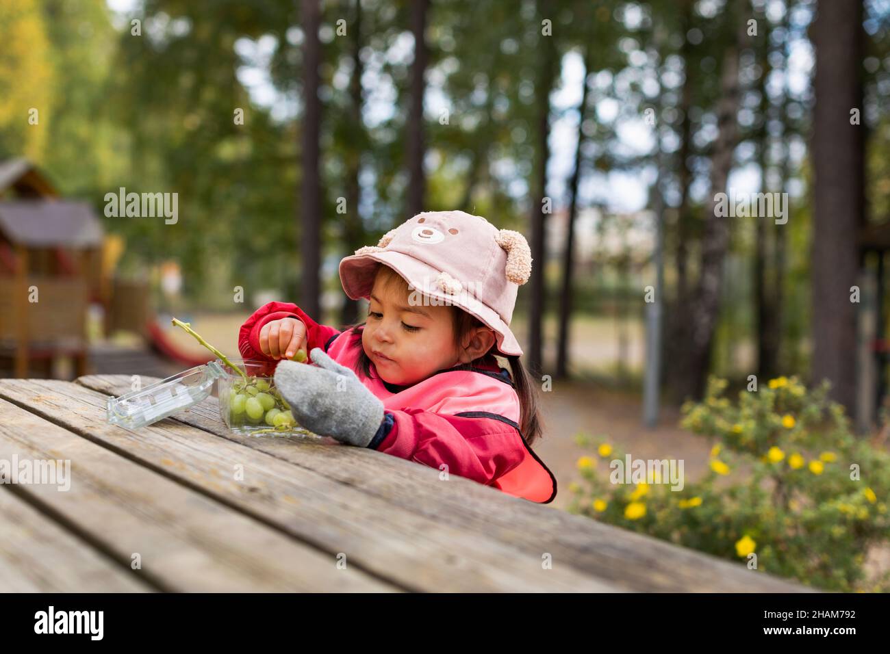 Preschool studente che mangia uva all'aperto Foto Stock
