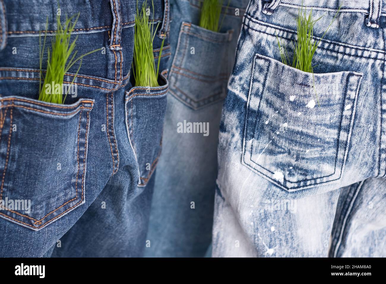 Abbigliamento di consumo responsabile. Dalle tasche di jeans germogli piante Foto Stock