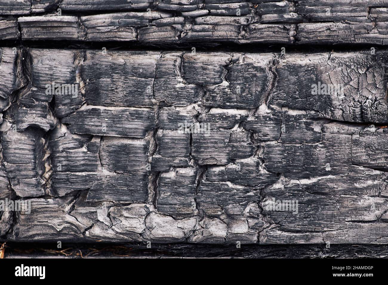 Sfondo di legno bruciato ruvido di colore bianco e nero con trama irregolare e crepe profonde Foto Stock