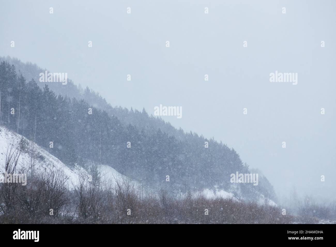 Vista pittoresca della catena montuosa coperta da fitti boschi durante la tempesta di neve in inverno Foto Stock