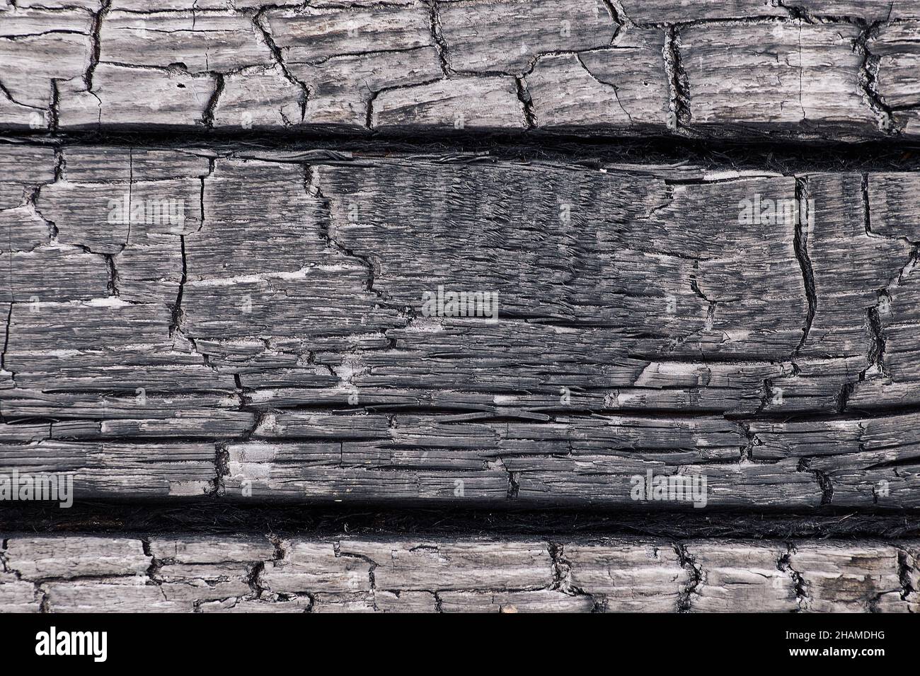 Sfondo bianco e nero testurizzato di legno bruciato ruvido di colore scuro con crepe in file Foto Stock