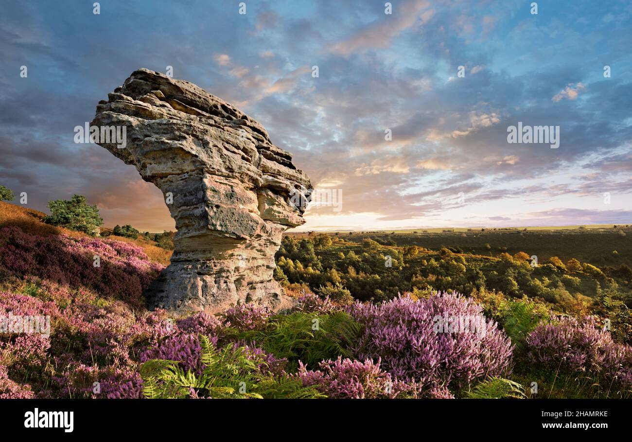 Formazione rocciosa di Bridestone nella foresta di Dalby, North Yorks Moors National Park, Inghilterra. I famosi Bridestones, Crosscliff e Blakey Topping, sono ap Foto Stock