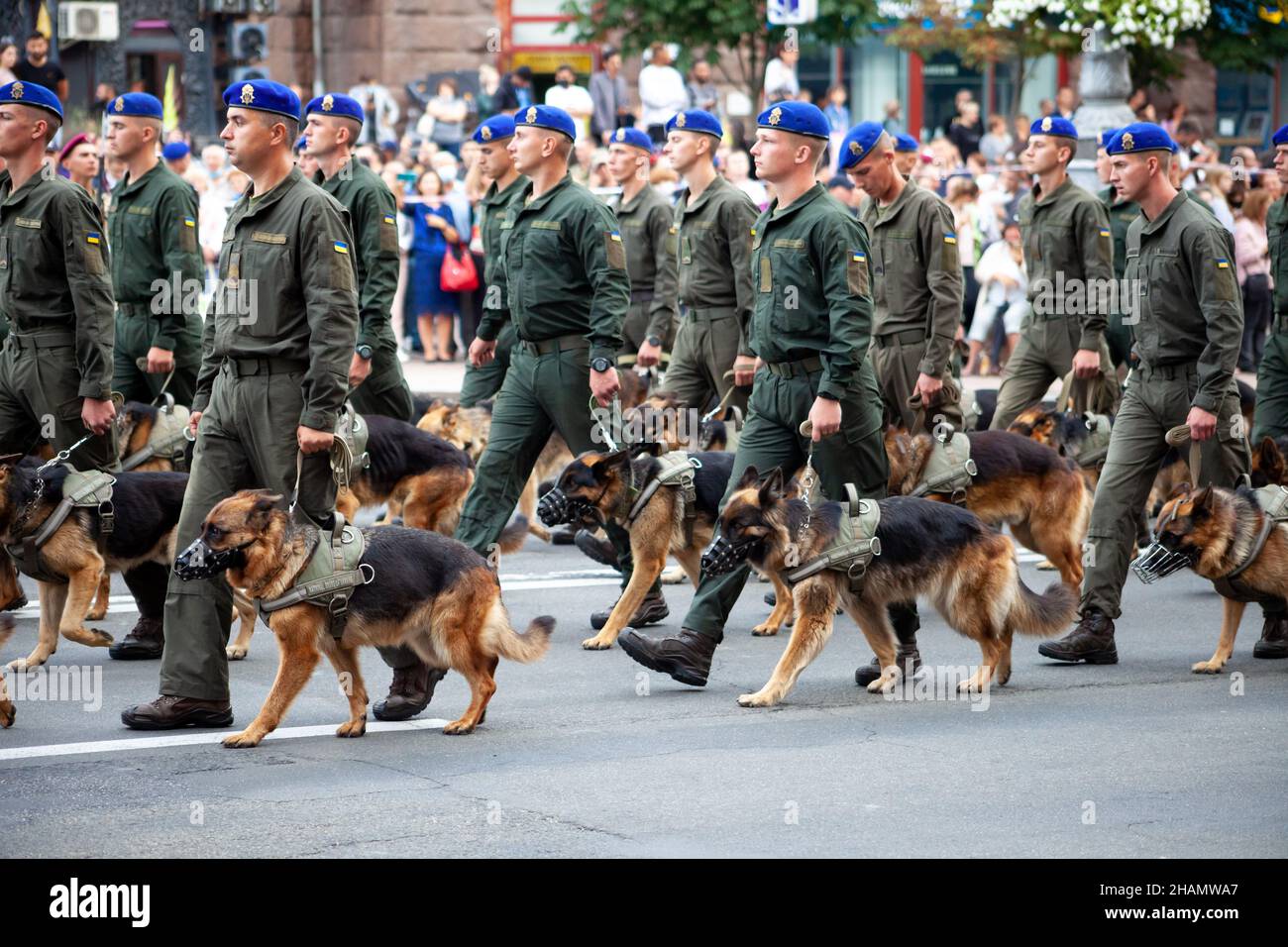 Ucraina, Kiev - 18 agosto 2020: Guardie di frontiera con cani pastorelli. I militari alla sfilata. Un soldato con un cane da guardia. Pastore cane di servizio al servizio dello Stato. I soldati stanno marciando. Foto Stock
