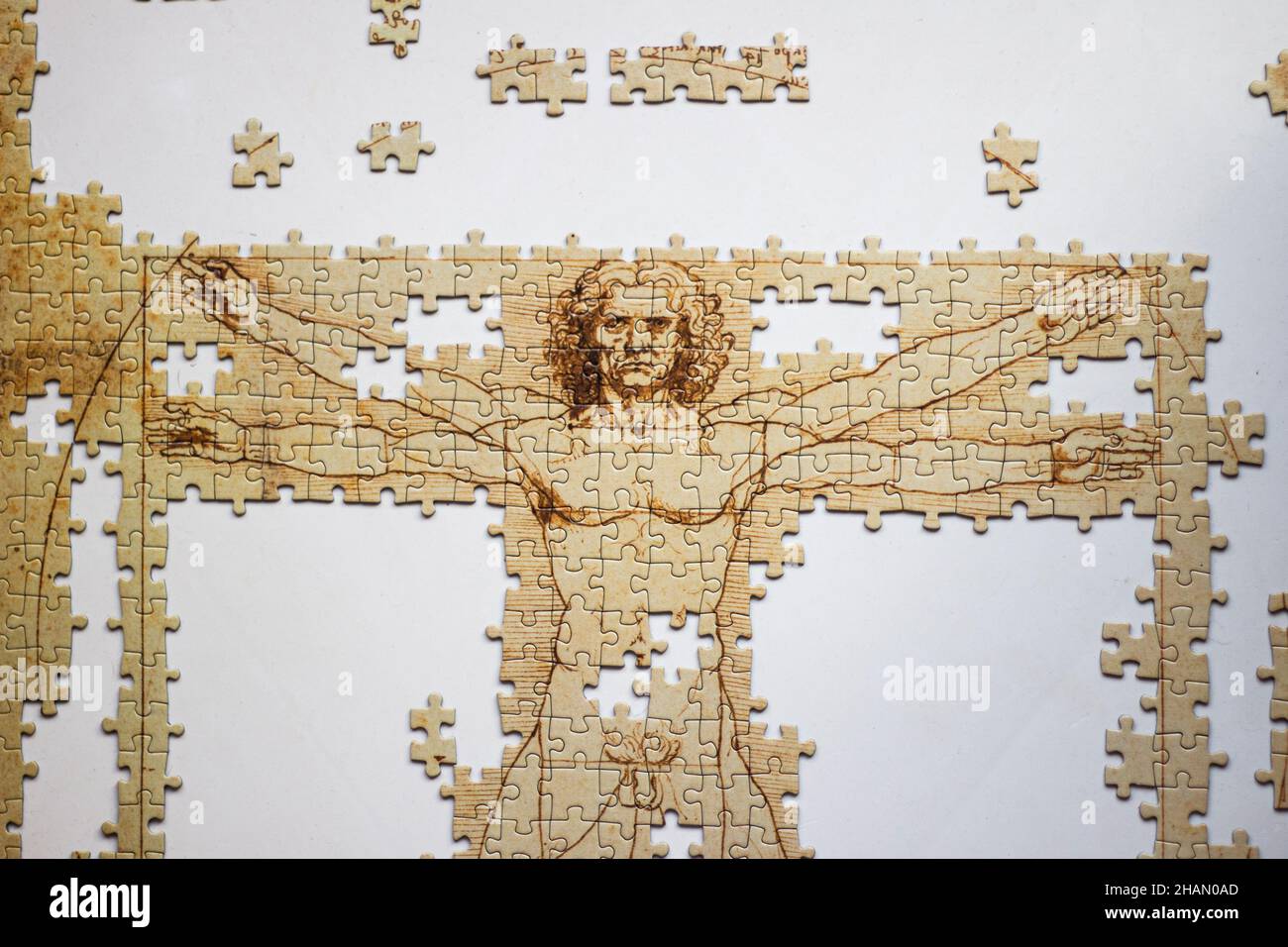 Puzzle incompiuto set di Leonardo da Vinci Vitruvian Man anatomia fotografata su sfondo bianco Foto Stock