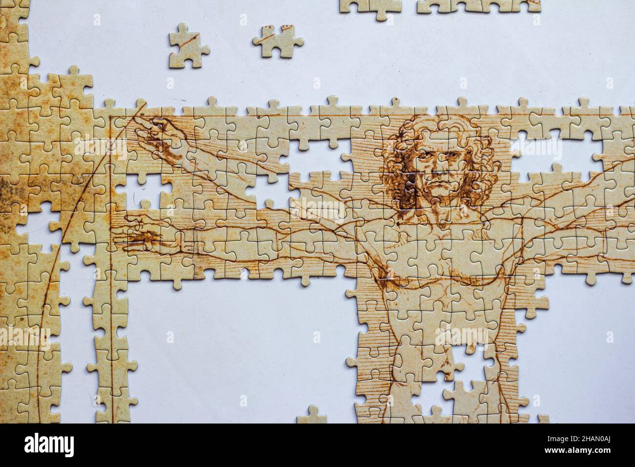 Puzzle incompiuto set di Leonardo da Vinci Vitruvian Man anatomia fotografata su sfondo bianco Foto Stock