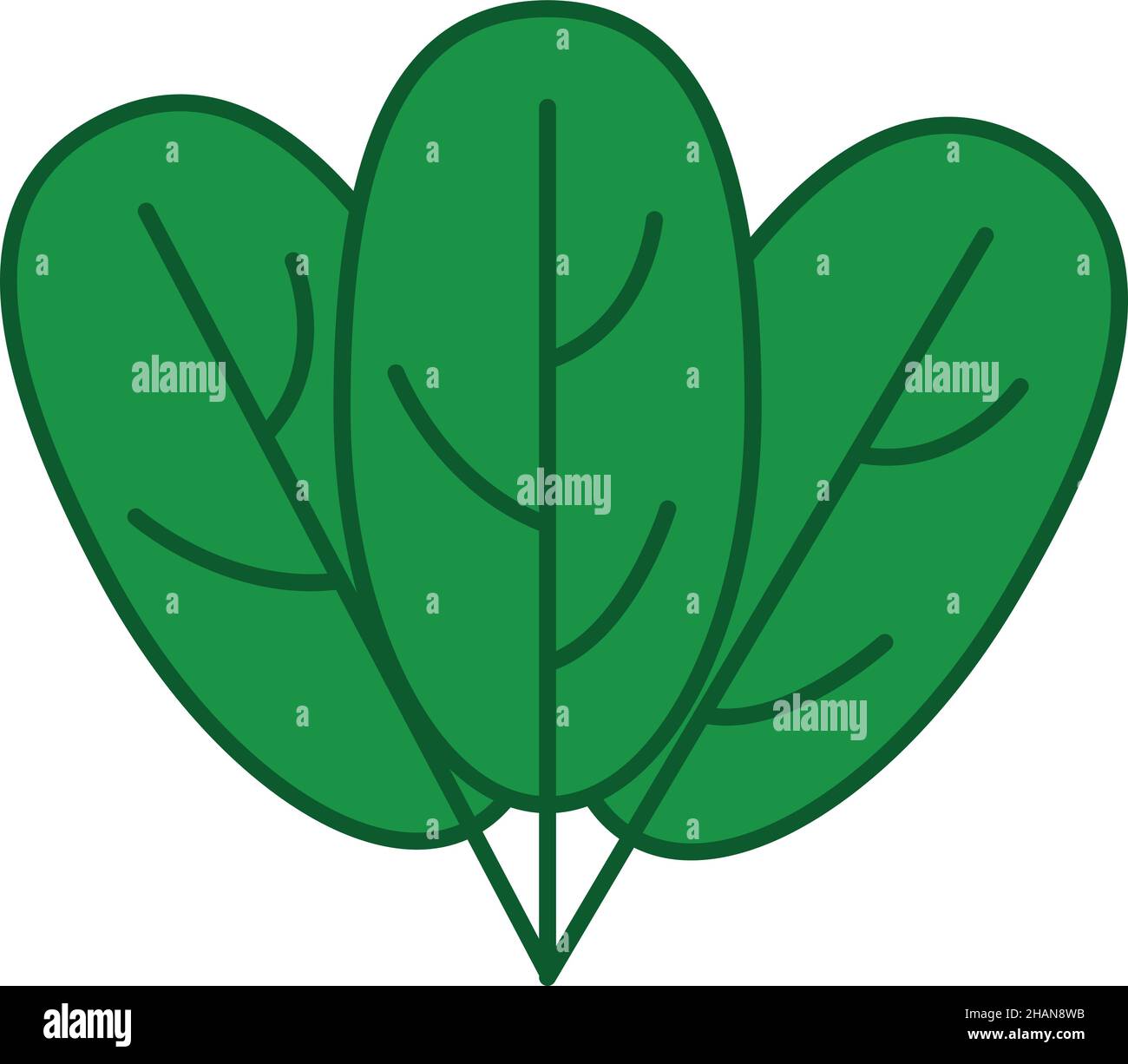 Spinaci riempiti contorno icona vettore vegetale Illustrazione Vettoriale
